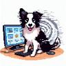 Apache OpenDAL™ logo