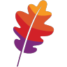 Apache Doris logo